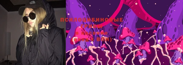 бошки Аркадак