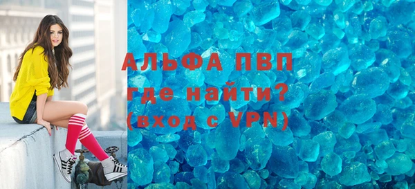 стафф Арсеньев