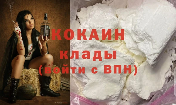 стафф Арсеньев