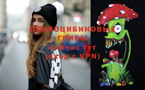 стафф Арсеньев